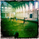 Musée du cheval vivant Le centre équestre hollandais