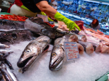 Poissons frais dans un marché public. Barcelone, Espagne.