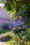 Jardin fleuri Calvi, France