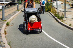 2025-08-08-Copenhague-003