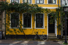 2025-08-08-Copenhague-009