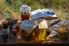 2025-08-08-Copenhague-027