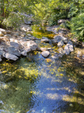 La rivière Restonica, Corte, Haute-Corse, France.