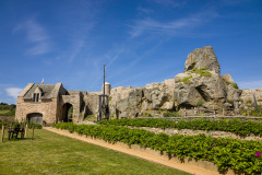 Fort la Latte, Château de La Roche Goyon