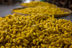 2024-09-26-Vietnam-011