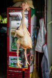Un poulet suspendu à l'extérieur d'un restaurant dans le Vietn