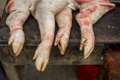 Pattes de cochon au marthé public de Bao Lac, Vietnam du nord.
