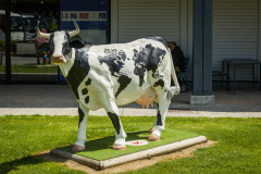 2024-06-20-Normandie-Bretagne-030