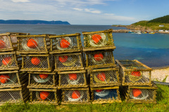 Lobster cages