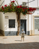 2025-03-29-Portugal-003