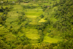 2024-09-26-Vietnam-007