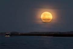 Full moon over Titicaca lake, Perou
