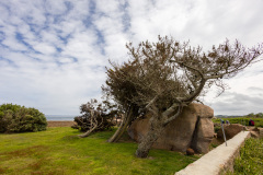 Pointe de l'île Renote, Tregastel