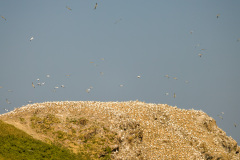 2024-06-20-Normandie-Bretagne-023