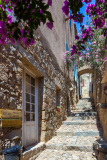 Ruelle fleurie