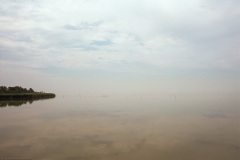 L'étang de Camargue