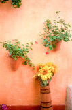 Mur provencal