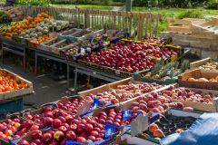 Étal de fruits et légumes au marché publique de Quimper