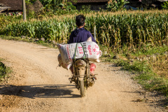 2024-09-26-Vietnam-007