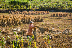 2024-09-26-Vietnam-008