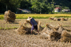 2024-09-26-Vietnam-012