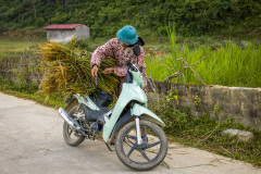 2024-09-26-Vietnam-013