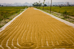 2024-09-26-Vietnam-016