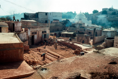 Safi-001 Safi-001