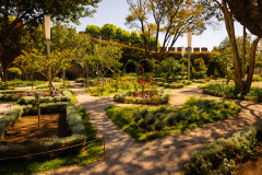 Jardin du Largo Dr Jorge Correia
