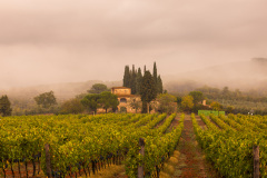 Un vignoble de la Toscane et son chaie