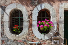 Arrangement floral dans les fenêtre d'une maison, Castello, Ven